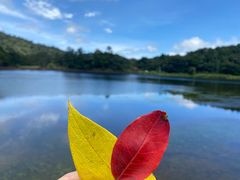 -海南热带雨林国家公园吊罗山景区
