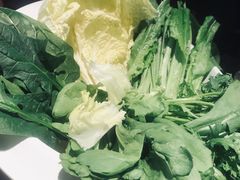 -竹叶涮肉坊(总店)