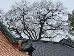 -宝通禅寺