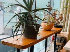 靠窗位-半山腰·云南菜(侨福芳草地店)