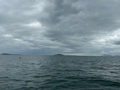 -小猫钓鱼海钓俱乐部(椰梦长廊店)