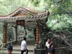 -大雁山风景区