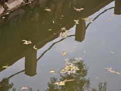 -福建师范大学(仓山校区)