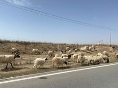 -青海湖国家重点风景名胜区