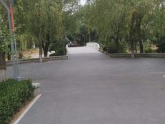 -大兴滨河森林公园