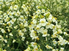 -中国天府农业博览园