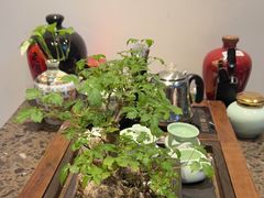 -一江水食府(后湖店)