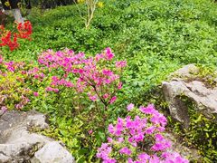 -玄武湖景区-情侣园游乐场