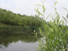 -新江湾城公园