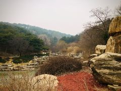 -北京西山国家森林公园