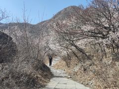 -阳台山自然风景区