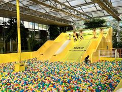 -南宫五洲植物乐园