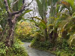 -碧桂园润杨溪谷温泉酒店