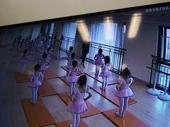 -墨舞舞蹈(顾村公园店)