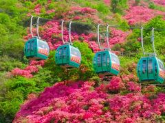 -木兰云雾山