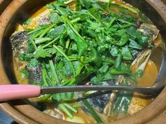 -九道菜有鸡鱼头(石鼓路店)