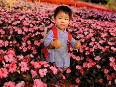 -松山湖梦幻百花洲