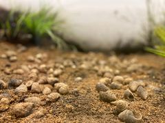 -柳州白莲洞洞穴科学博物馆