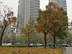 -爱康国宾体检中心(总部基地分院)