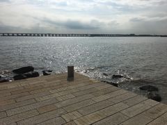 -宝安西湾红树林湿地公园