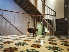 -阿吉仔(大元路店)