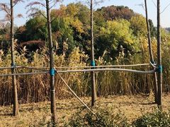 -新江湾城公园