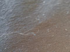 -清真马杰山牛肉汤馆