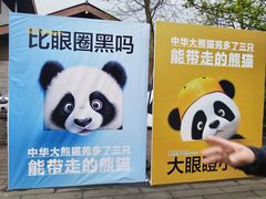 -都江堰中华大熊猫苑