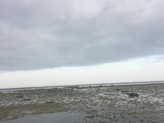 -北海金海湾红树林生态旅游区