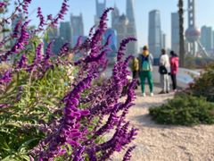 -北外滩滨江绿地