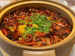 -张烤鸭·川菜·非遗冒烤鸭(青石桥店)