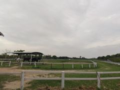 -上海杨姆庄园