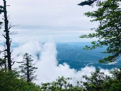 -瓦屋山景区