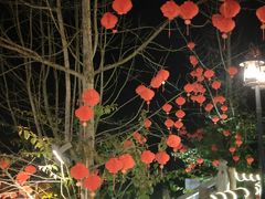 -楠柏弯休闲山庄(梨花溪店)