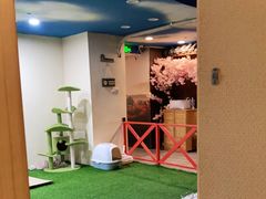 -白兔子密室(长寿路店)