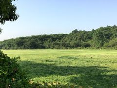 -羊山湖公园