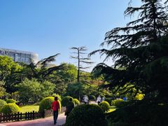 -莲花池公园