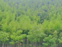 -将军关探险漂流