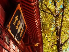 -颐和园