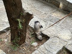 -四门塔风景区