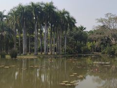 -中国科学院西双版纳热带植物园