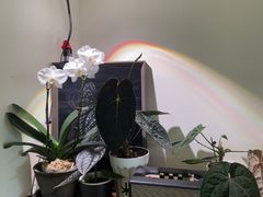 -本無咖啡·BeanWood Coffee