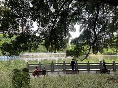 -东山湖公园