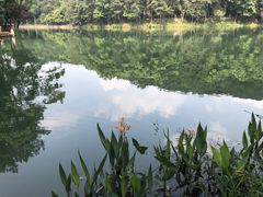 -缙云山景区