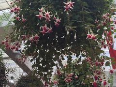 -广州花之恋城堡酒店