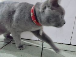 -BBVR团建聚会体验馆·亲子DIY手工