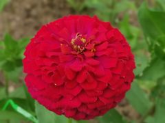 -草原塞蛮羊火锅城(港湾店)