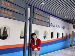-法兰度航空主题餐厅(台山昌大昌店)