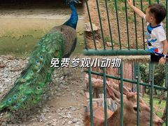 -广西壮族自治区药用植物园