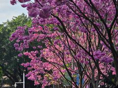 -深圳野生动物园